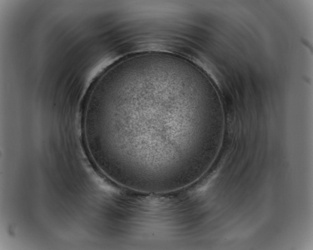 X0000097650987200803071505