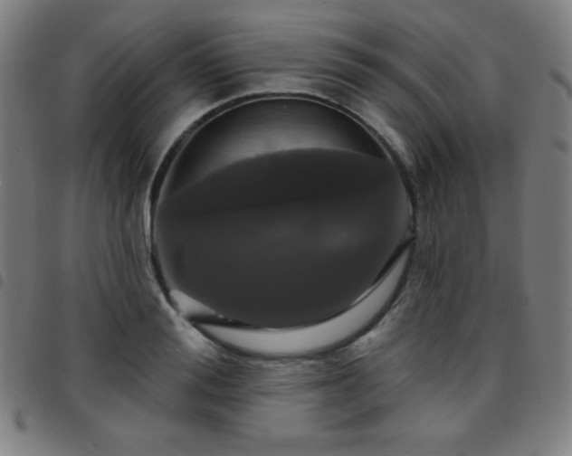 X0000097650988200803071505