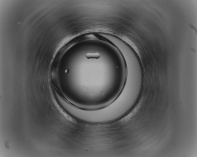 X0000097650989200803071505