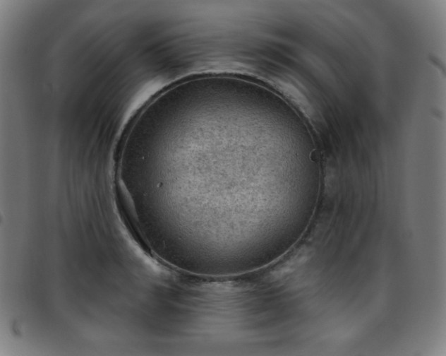 X0000097650990200803071505