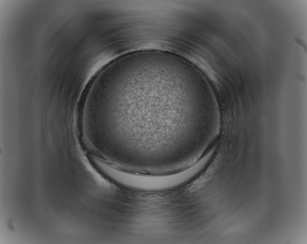 X0000097650991200803071505