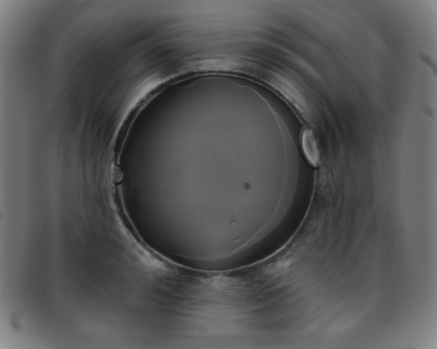 X0000097650992200803071505