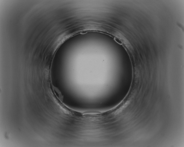 X0000097650993200803071505