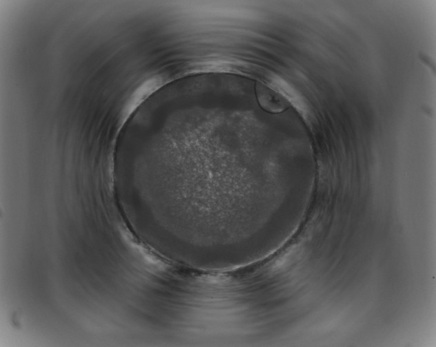 X0000097650994200803071505