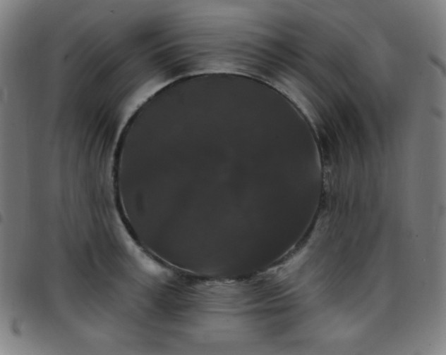 X0000097650995200803071505