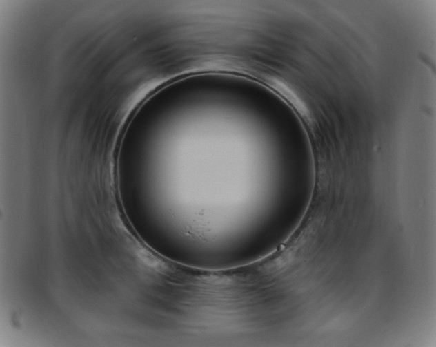 X0000097650996200803071505