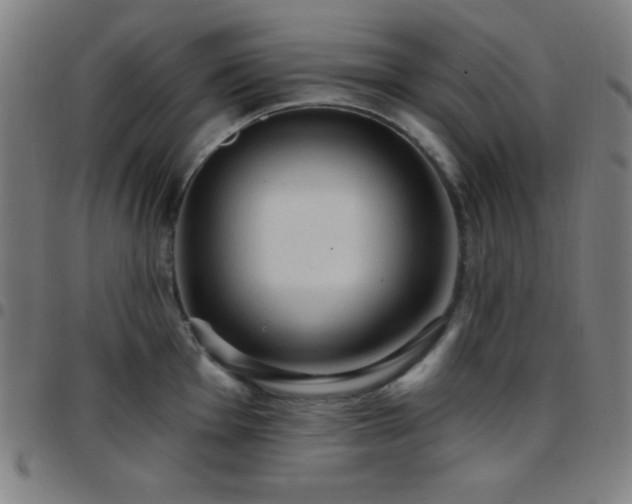 X0000097651001200803071505