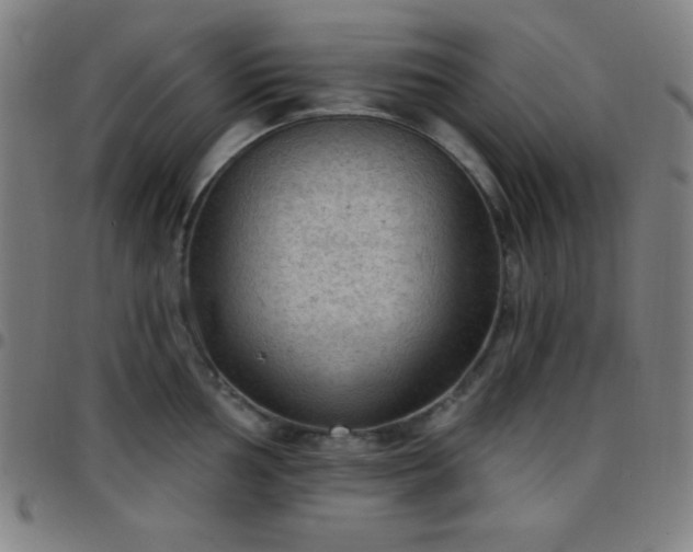 X0000097651002200803071505