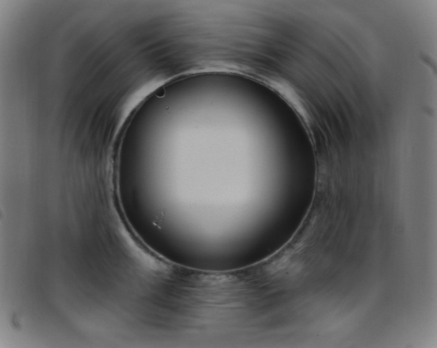 X0000097651003200803071505