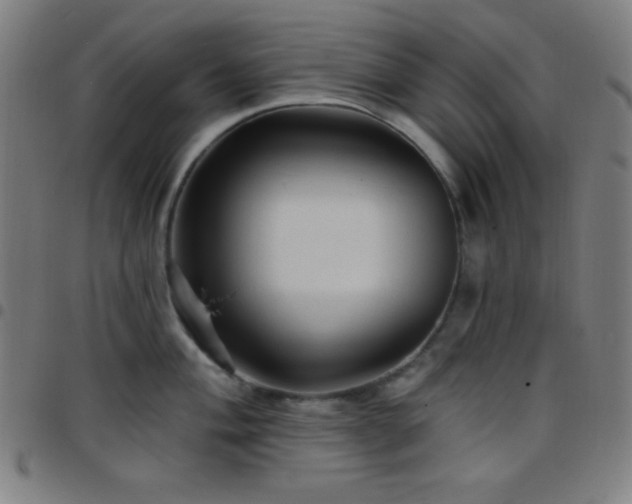 X0000097651004200803071505