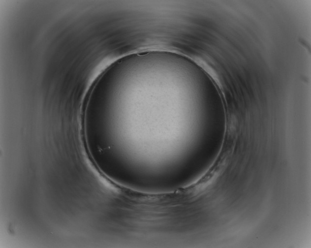 X0000097651005200803071505