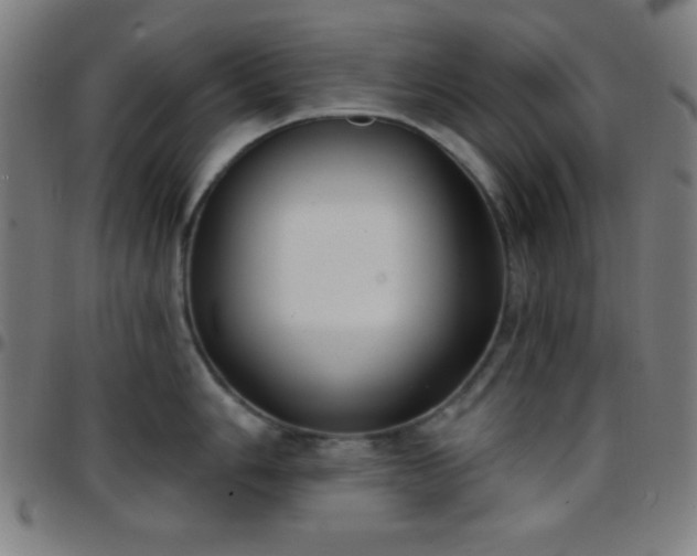 X0000097651006200803071505