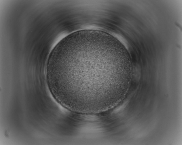 X0000097651007200803071505