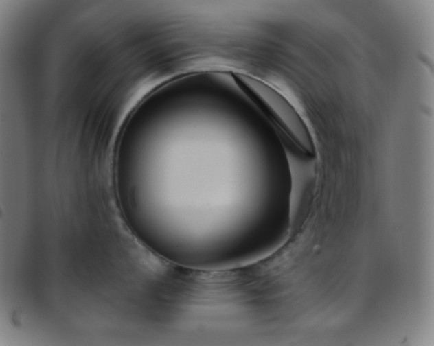 X0000097651008200803071505