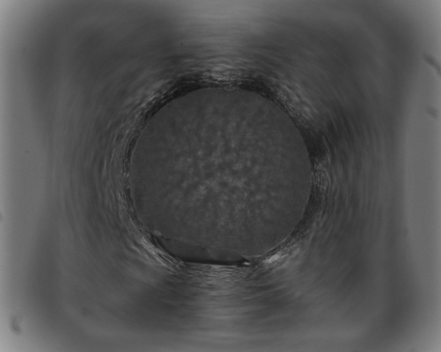 X0000097651009200803071504