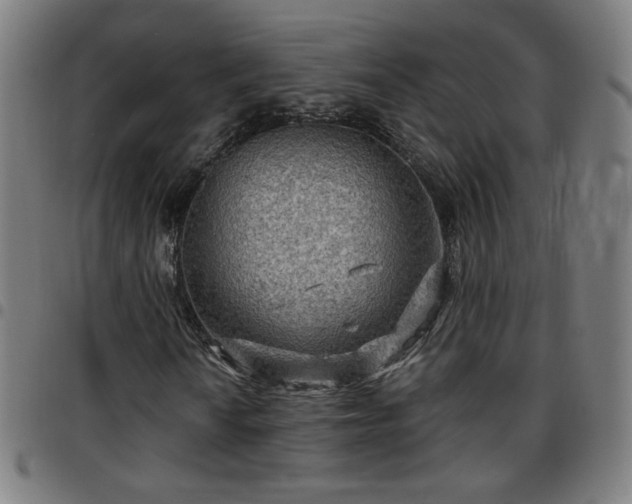 X0000097651010200803071504