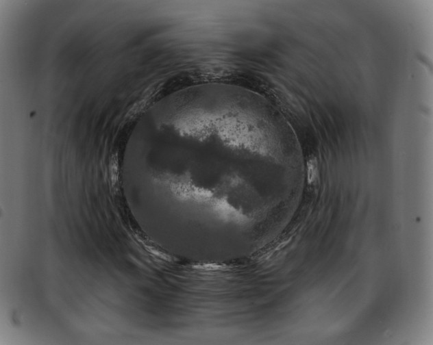 X0000097651011200803071504