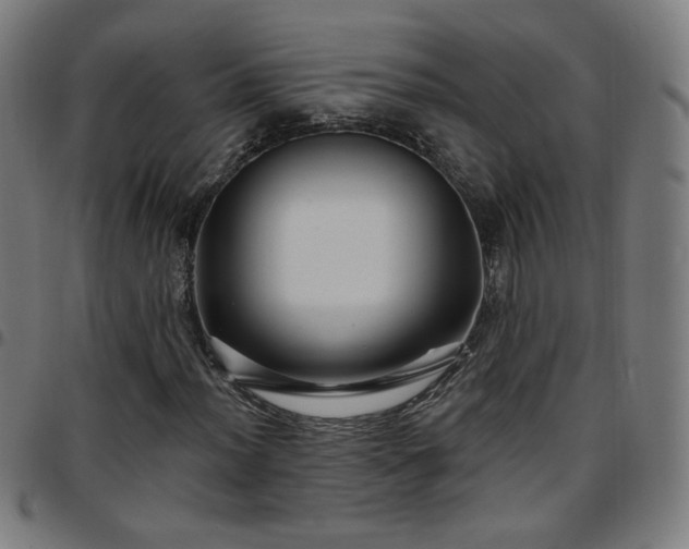 X0000097651012200803071504