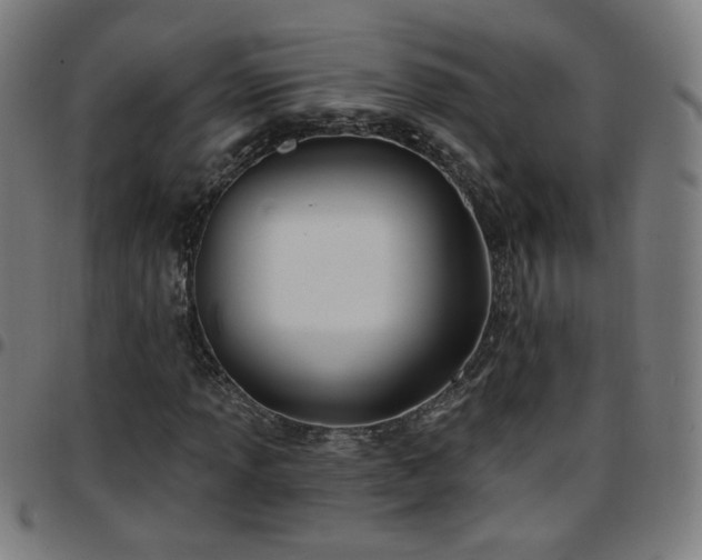 X0000097651013200803071504