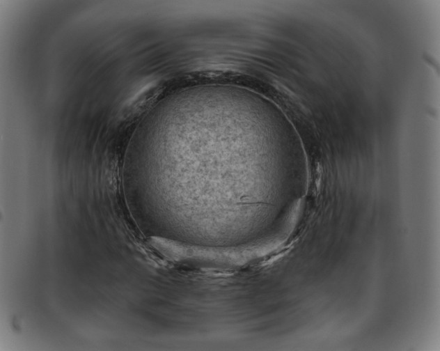 X0000097651014200803071504