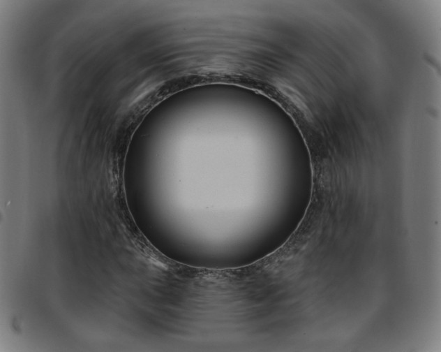 X0000097651015200803071504