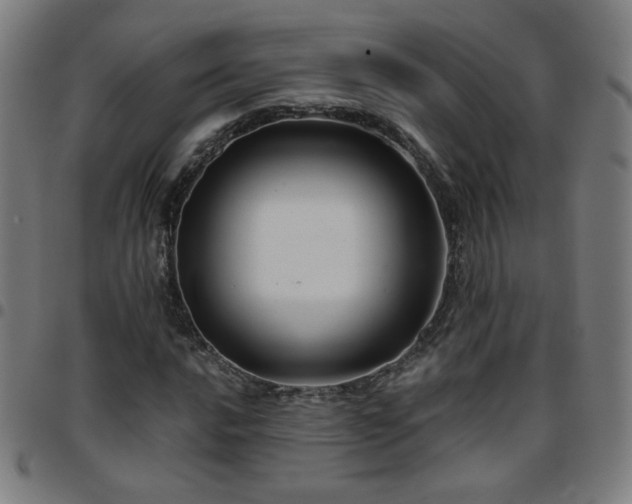 X0000097651016200803071504