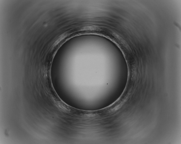 X0000097651017200803071504