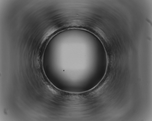 X0000097651018200803071504