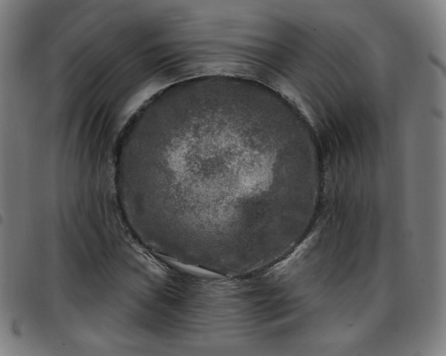 X0000097651019200803071504