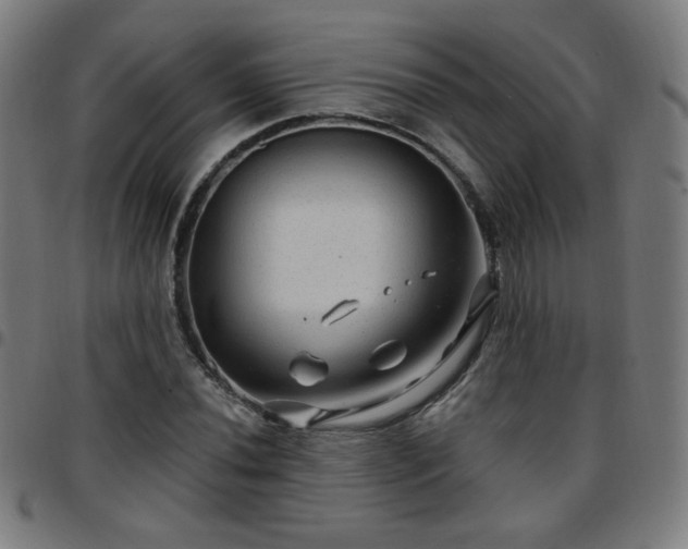 X0000097651020200803071504