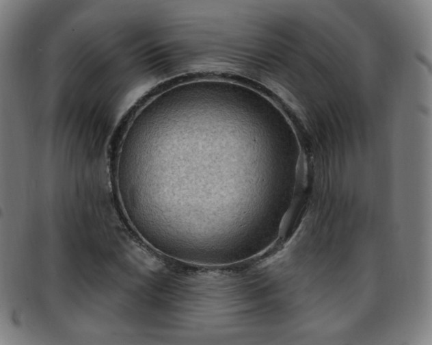 X0000097651022200803071504