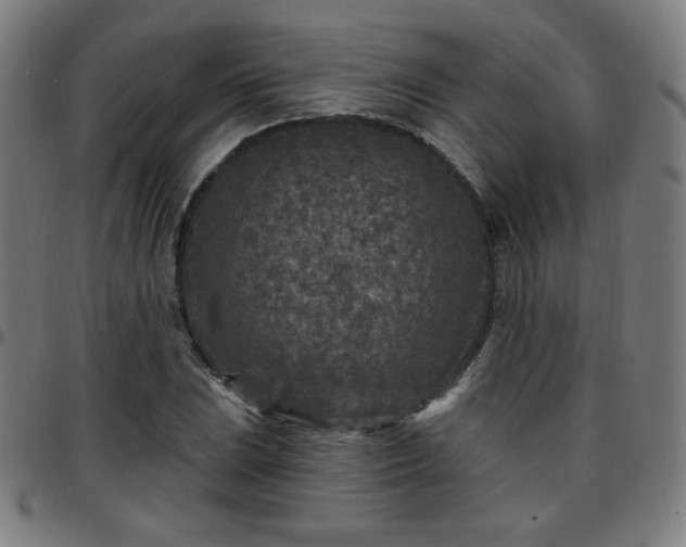 X0000097651023200803071504