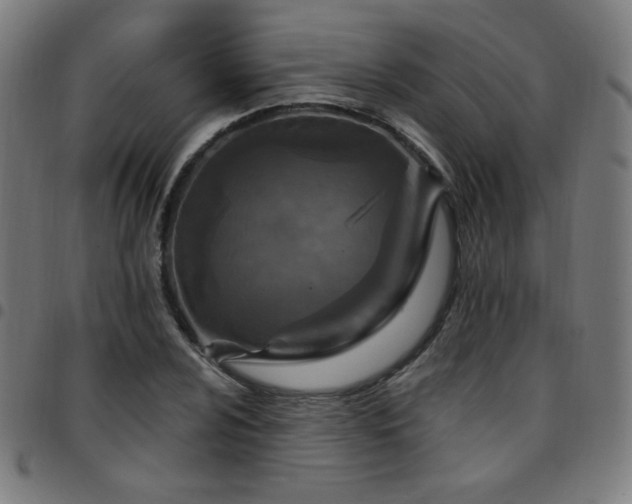 X0000097651024200803071504