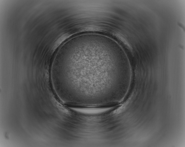 X0000097651025200803071504