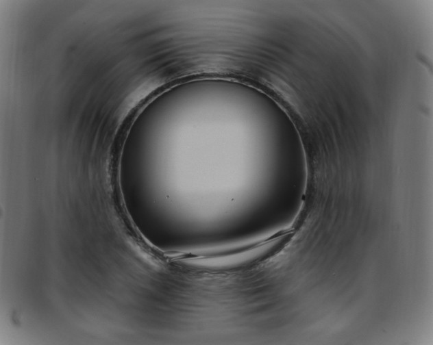 X0000097651026200803071504