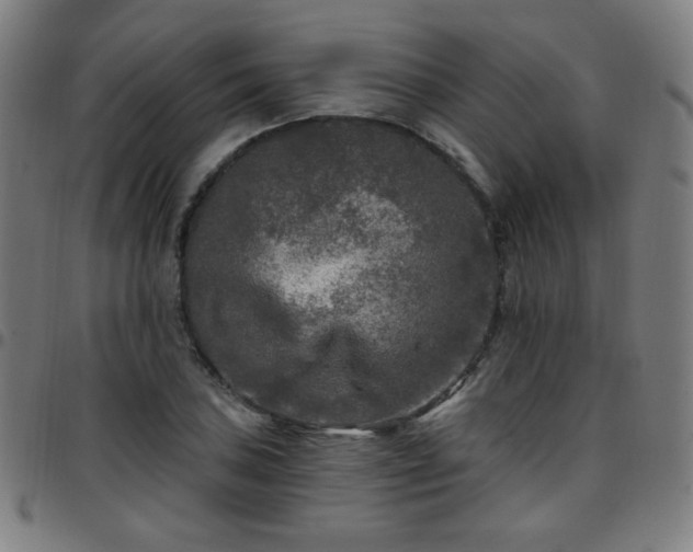 X0000097651027200803071504