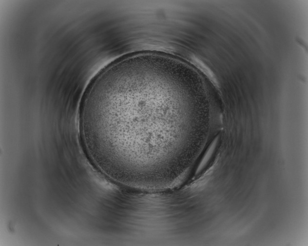 X0000097651028200803071504