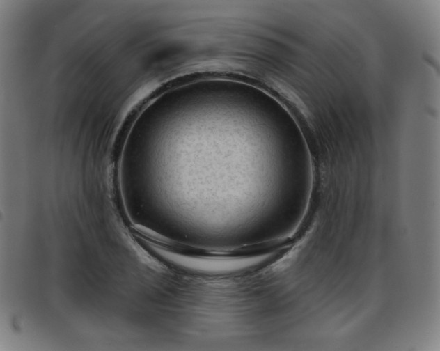 X0000097651029200803071504