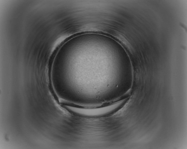 X0000097651030200803071504