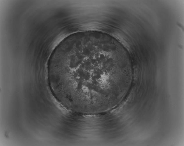 X0000097651031200803071504