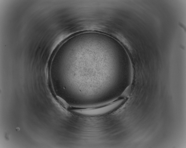 X0000097651032200803071504