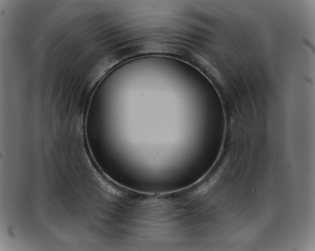 X0000097651033200803071504