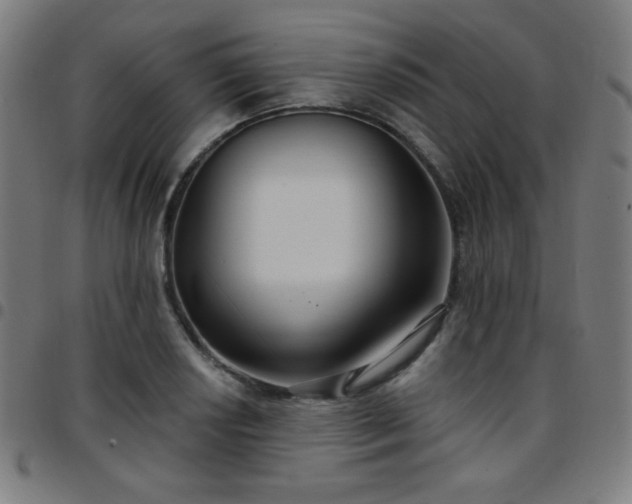 X0000097651034200803071504