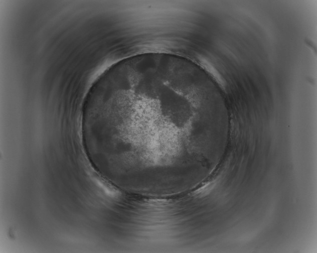 X0000097651035200803071504