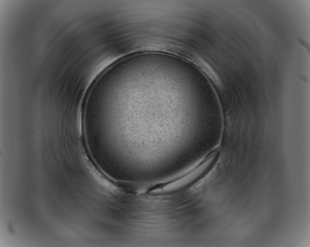 X0000097651036200803071504