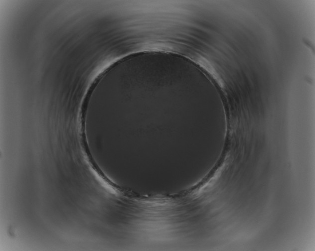 X0000097651037200803071504