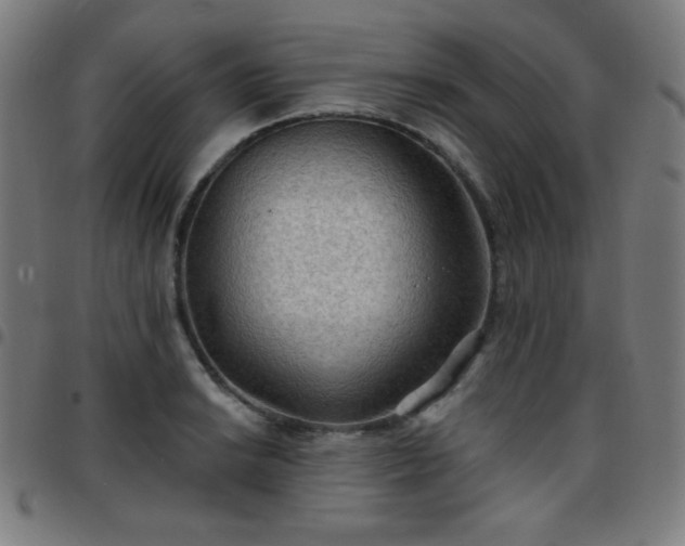 X0000097651038200803071505