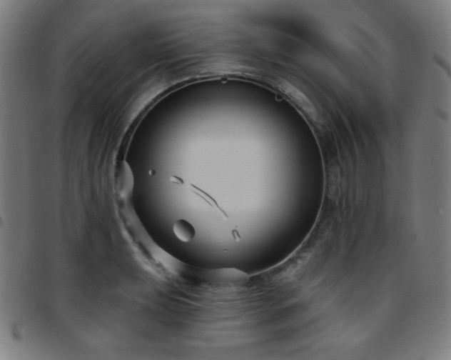 X0000097651039200803071505