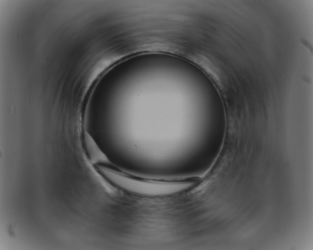 X0000097651040200803071505