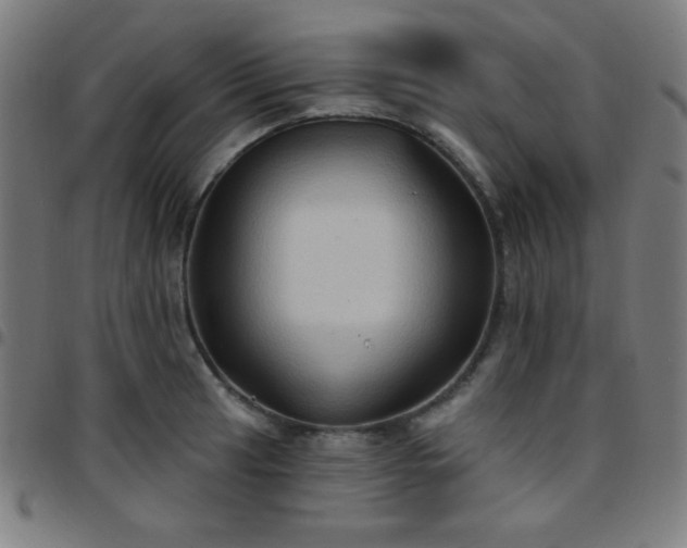 X0000097651041200803071505